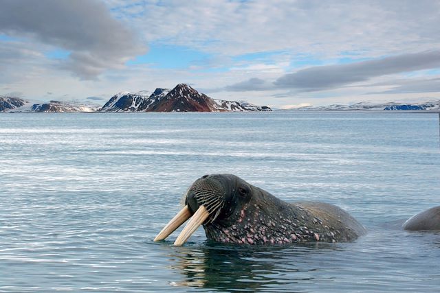 Voyage Exploration de l'Isfjord aux portes du pôle Nord