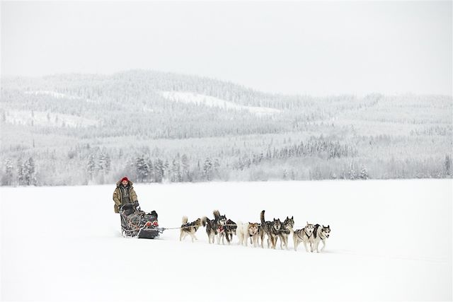 Voyage Traîneau à chiens au pays des Sami