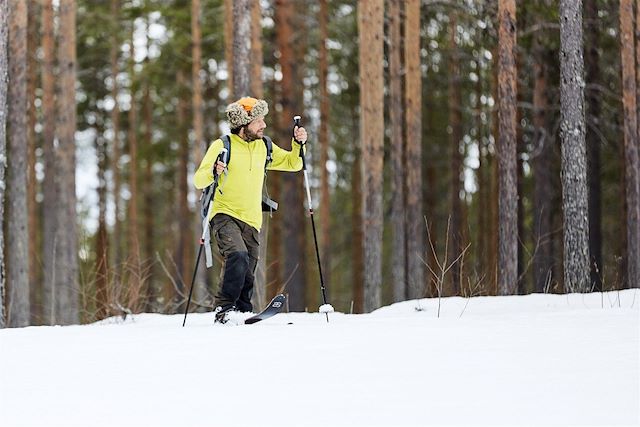 Voyage Dans les forêts de Laponie