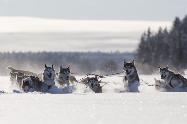 Voyage Aurores boréales et parc national d'Abisko