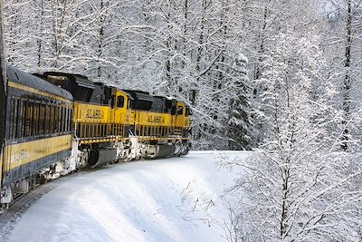 Alaska Railroad - Alaska