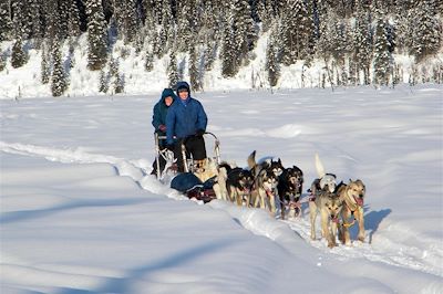 Sur un traîneau à chiens - Alaska - Etats-Unis