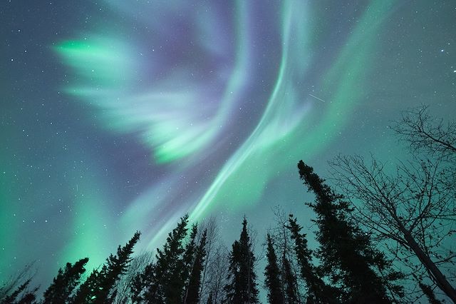 Voyage Aventure glacée au cœur de l'Alaska