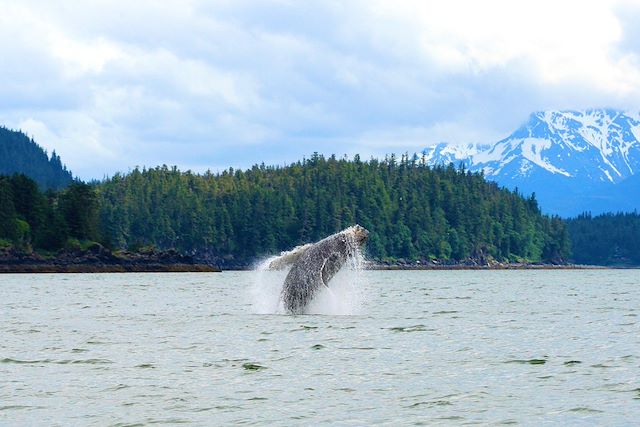 Voyage L'Alaska grandeur nature