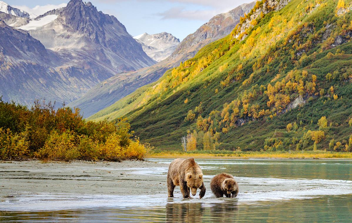 Alaska, la dernière frontière sauvage